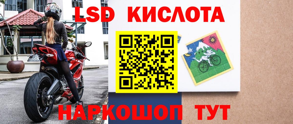 Галлюциногенные грибы Рязань
